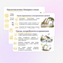 Презентация по биологии 
