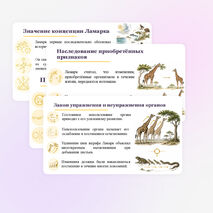 Презентация по биологии 