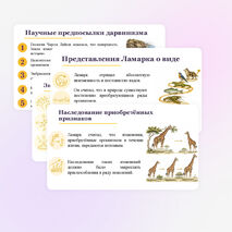 Презентация по биологии 