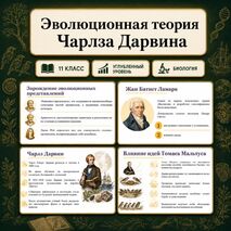 Презентация по биологии 
