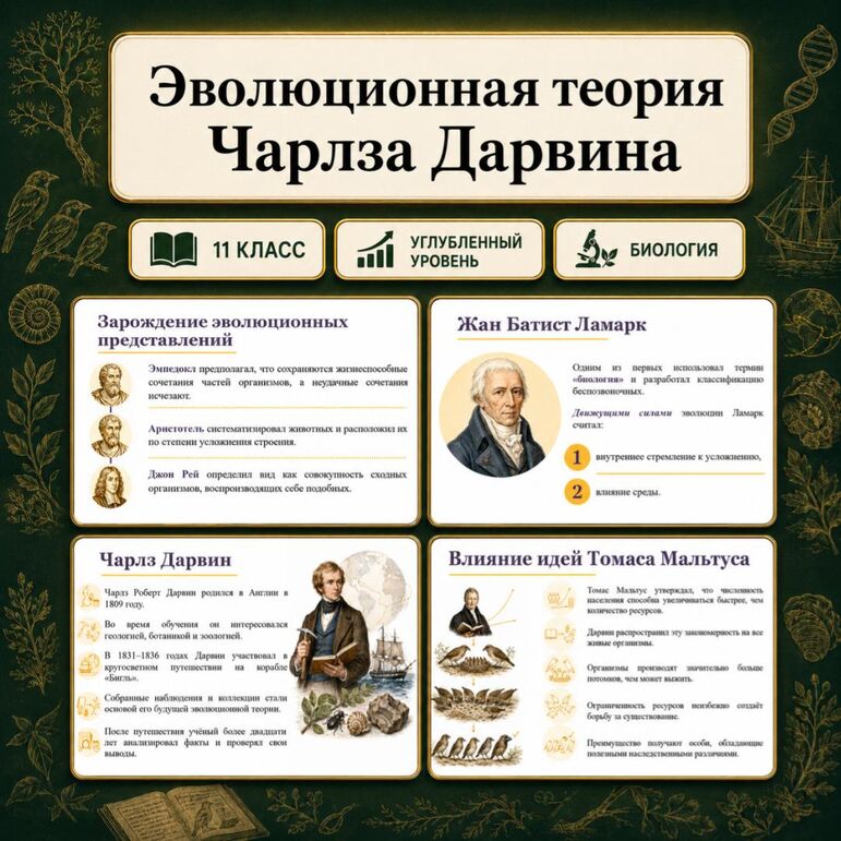 Презентация по биологии 