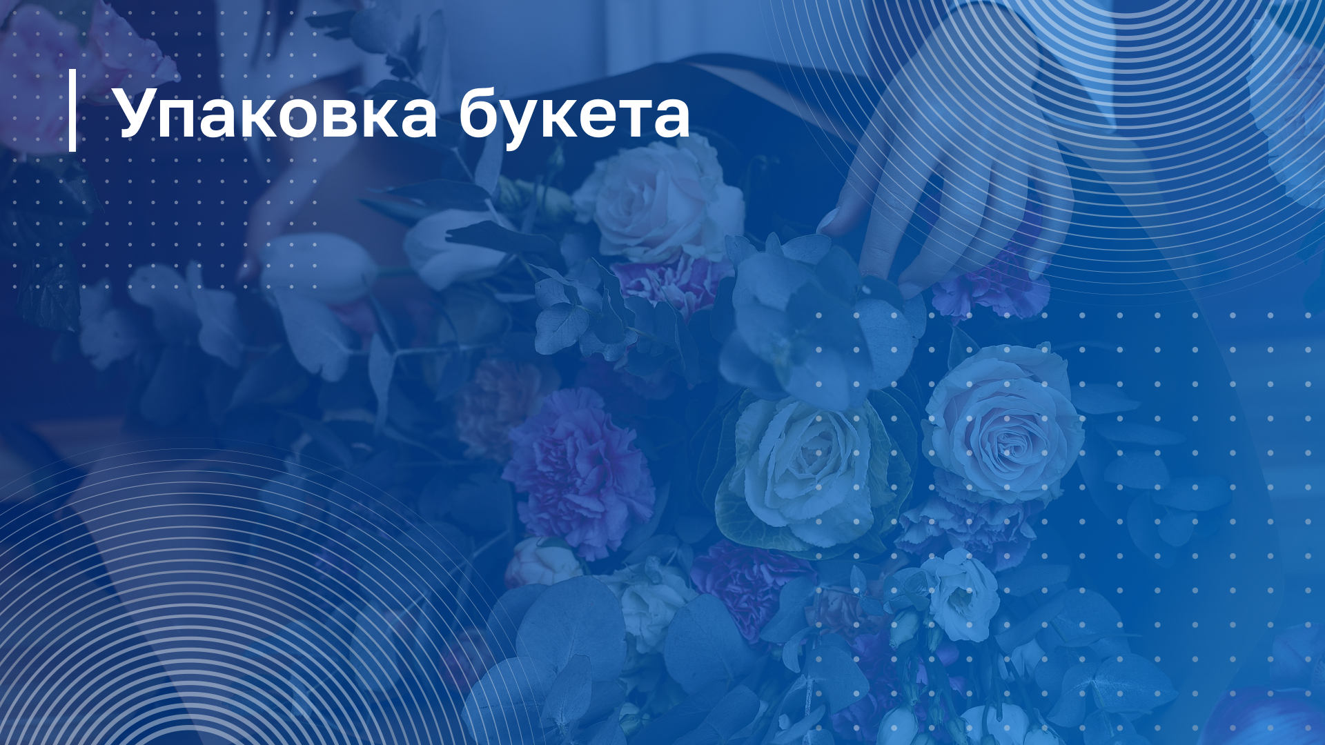 Обложка курса