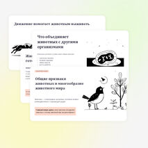 Презентация по биологии 