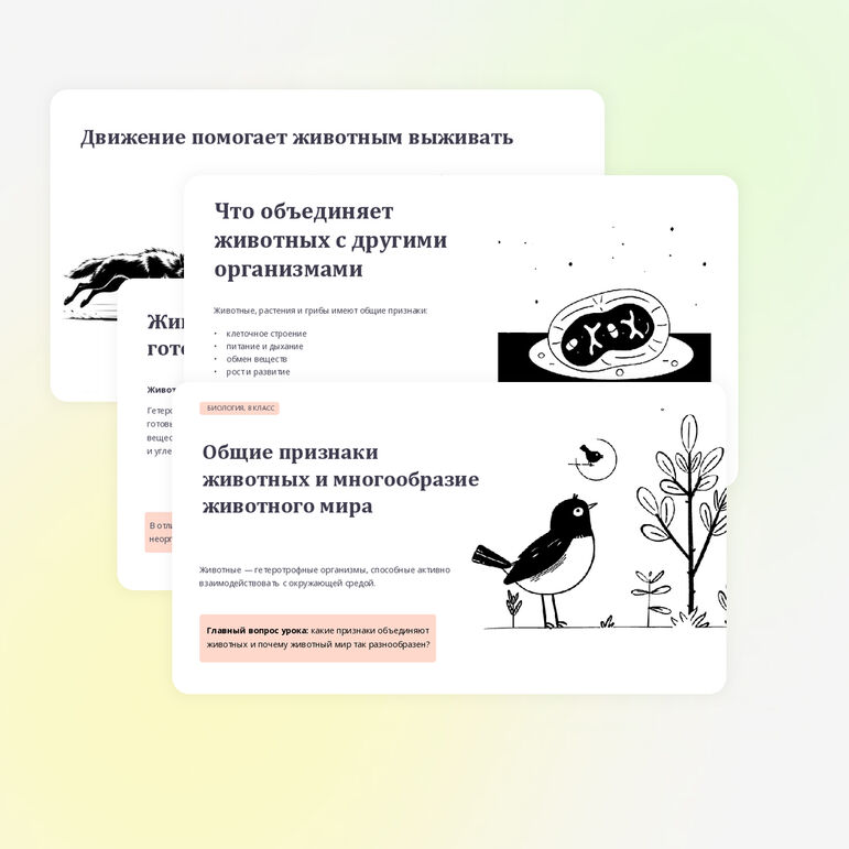 Презентация по биологии 