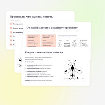 Презентация по биологии 