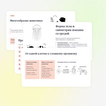 Презентация по биологии 