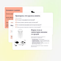 Презентация по биологии 