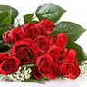 Шакирова Зульфия Хайдаровна
