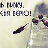 Павлова Светлана Владимировна