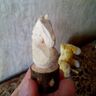 Максютенко Евгений Сергеевич