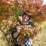 Вялкова Анна Васильевна