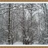 Белоножко Вера Александровна