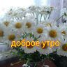 Гуржапова Евгения Батомункуевна
