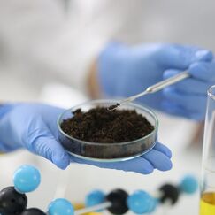 Обложка курса 'Специалист исследовательской лаборатории по лабораторным исследованиям воды и почв'