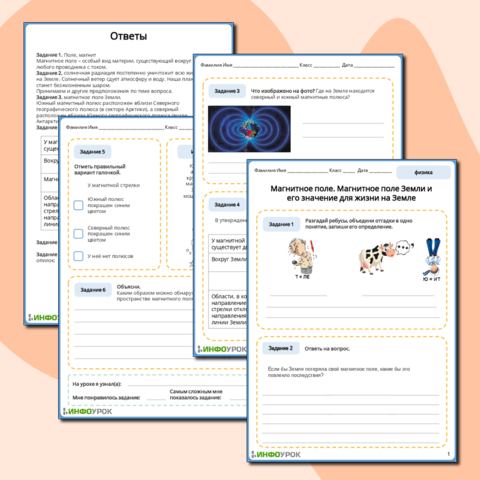 Рабочий лист по физике 8 класс Магнитное поле. Магнитное поле Земли и его значение для жизни на Земле