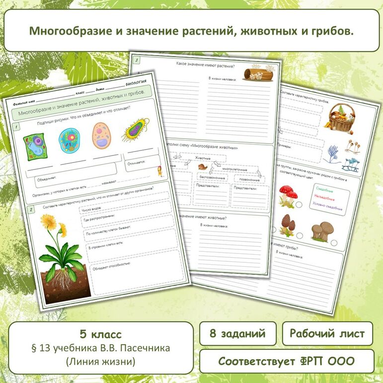 Презентация "Многообразие и значение растений, животных и грибов", урок ...