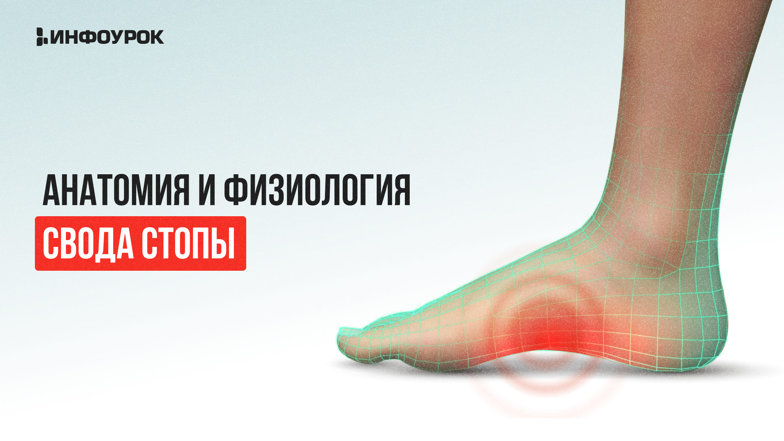 Обложка курса