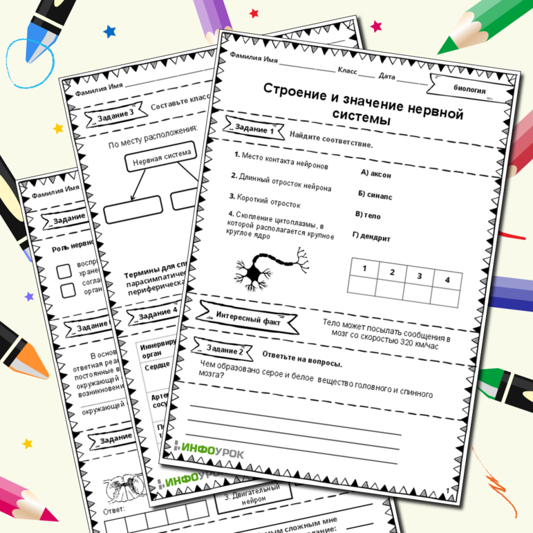 Рабочий лист по биологии 