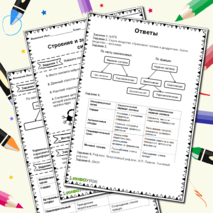 Рабочий лист по биологии 