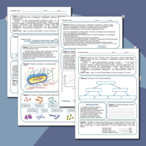 Бактерия. Строение, размножение и условия жизни бактерий