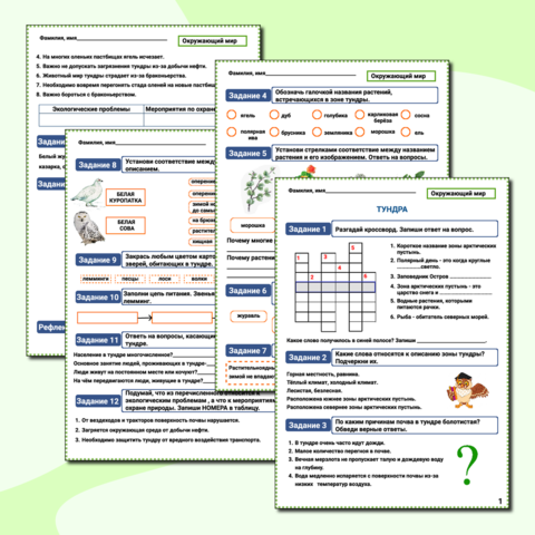 Рабочий лист к уроку окружающего мира в 4 классе 