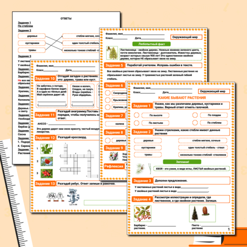 Рабочий лист к уроку окружающего мира 
