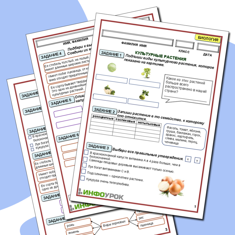 Рабочий лист для биологии "Культурные растения."