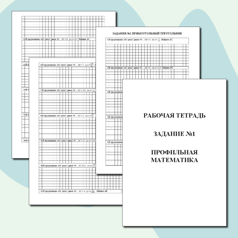 Рабочая тетрадь для подготовки к ЕГЭ по математике. Профильная ...