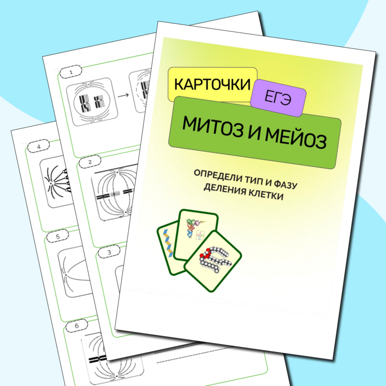 Презентация по теме "Митоз" 10-11 класс ЕГЭ биология