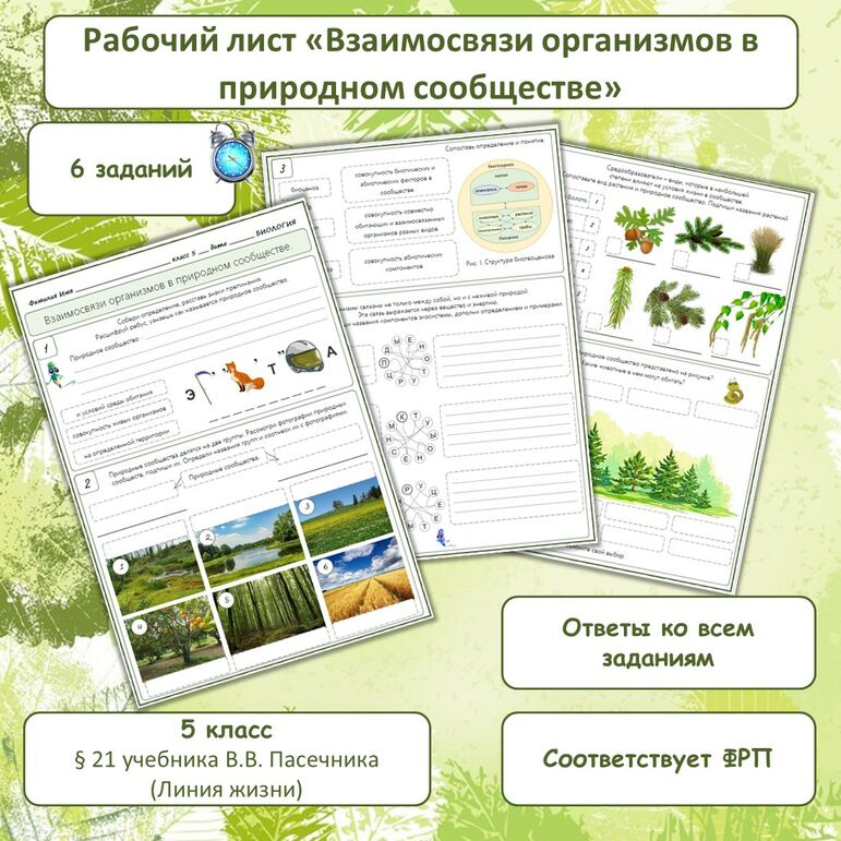 Природные сообщества 5 класс рабочий лист. Природные сообщества 5 класс рабочий лист
