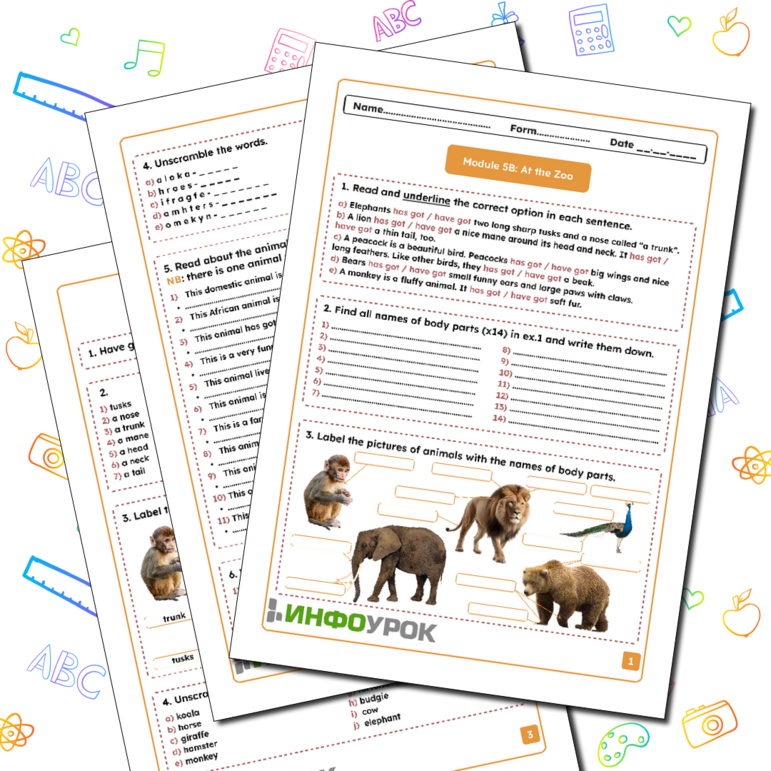 Рабочий лист к модулю Module 5b At the Zoo, УМК Spotlight 5 класс