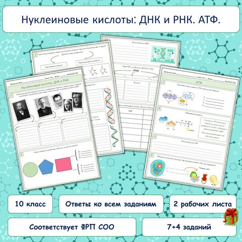 Рабочий лист «Нуклеиновые кислоты: ДНК, РНК. АТФ» для 10 класса