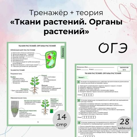 Тренажёр + теория по теме 