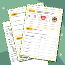 Рабочий лист по информатике «Виды информации»