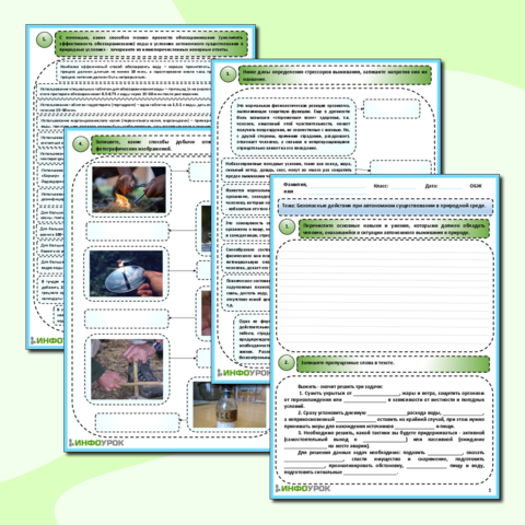 Рабочий лист- ОБЖ-Безопасные действия при автономном существовании в природной среде