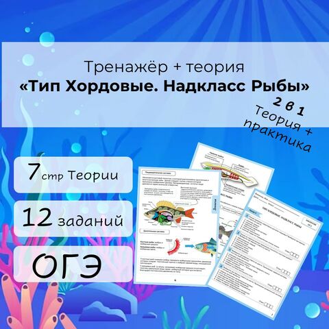 Тренажёр + теория 