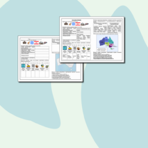 Рабочий лист по географии по теме 