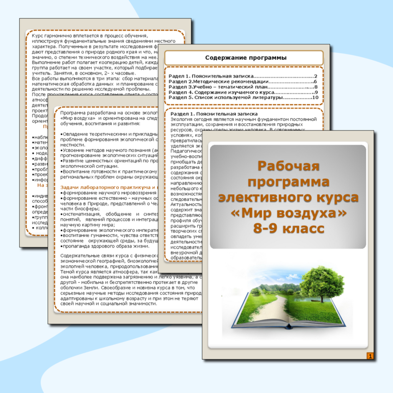 Рабочая программа элективного курса 