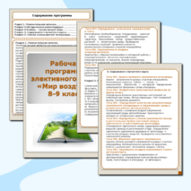 Рабочая программа элективного курса 