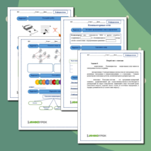 Рабочий лист по информатике Компьютерные сети