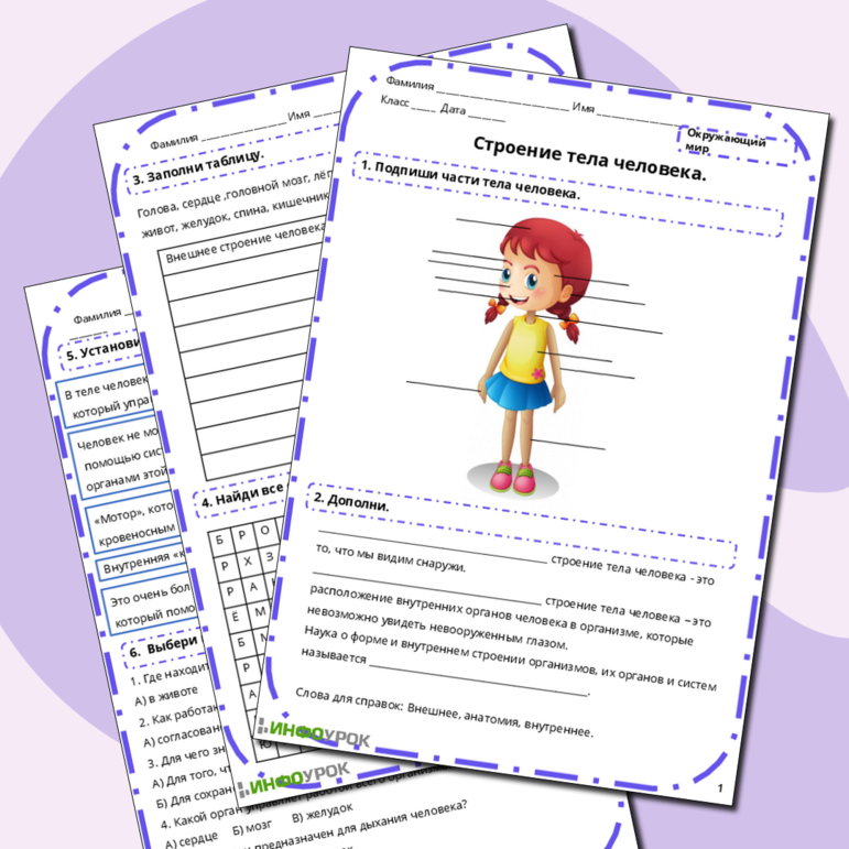 "Строение тела человека".