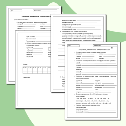 имя существительное 6 класс проверочная работа