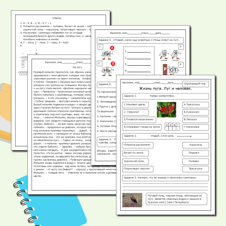 Жизнь луга. Луг и человек. Окружающий мир. 4 класс.