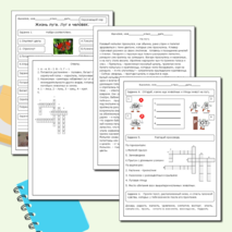 Жизнь луга. Луг и человек. Окружающий мир. 4 класс.