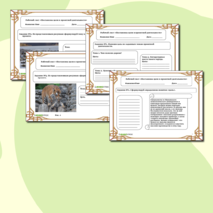 Рабочий лист по Проектной деятельности 