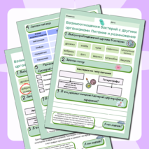 Рабочий лист 