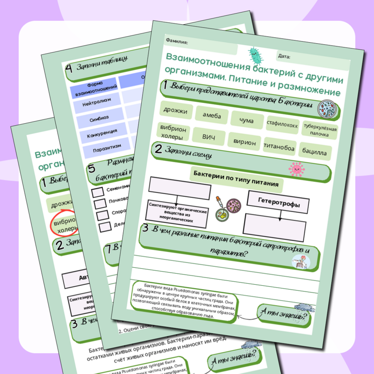 Рабочий лист 