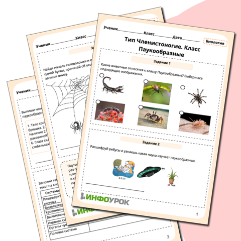 Рабочий лист 