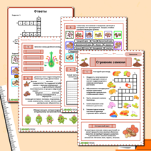 Рабочий лист по биологии на тему «Строение семени»