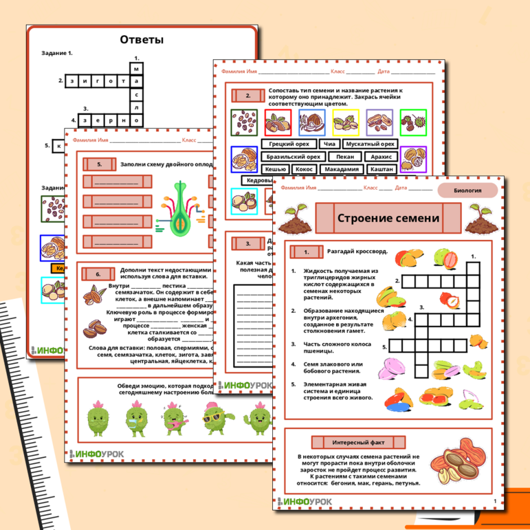 Рабочий лист по биологии на тему «Строение семени»
